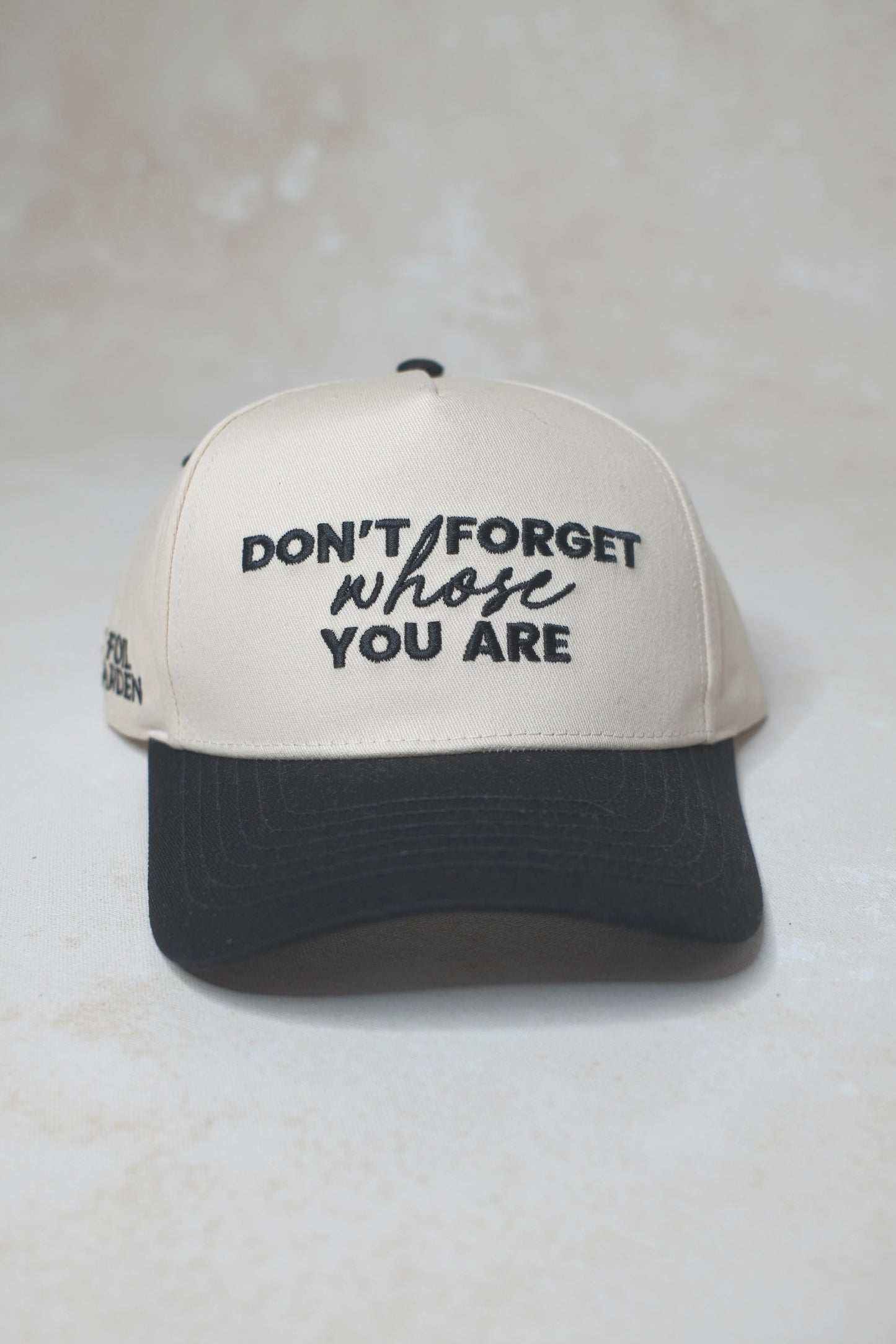 Don't Forget Whose You Are Hat